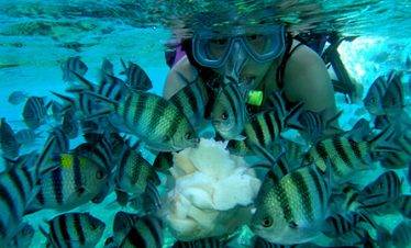 Snorkeling
