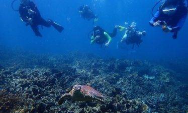 4D3N Tioman 7 dives Package