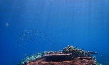 4D3N Tioman Try Scuba Package