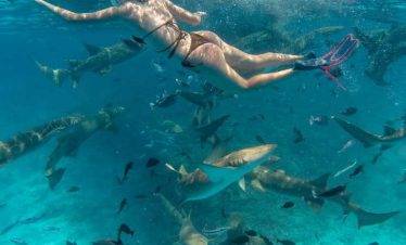 4D3N Pakej Percutian ke Maldives 2022/2023 Cheaper